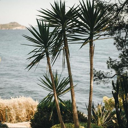 Hotel Provencal Hyères Dış mekan fotoğraf