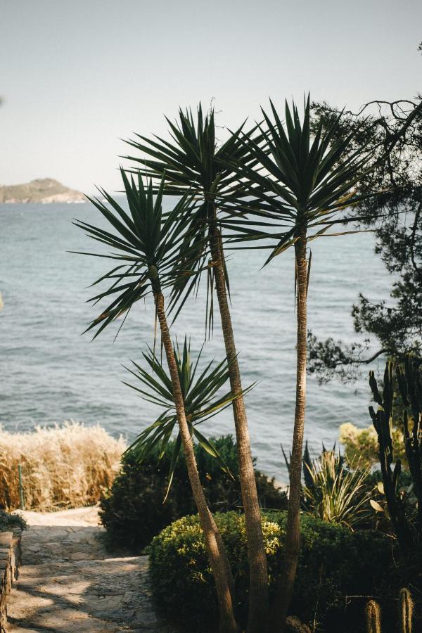 Hotel Provencal Hyères Dış mekan fotoğraf