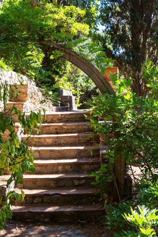 Hotel Provencal Hyères Dış mekan fotoğraf