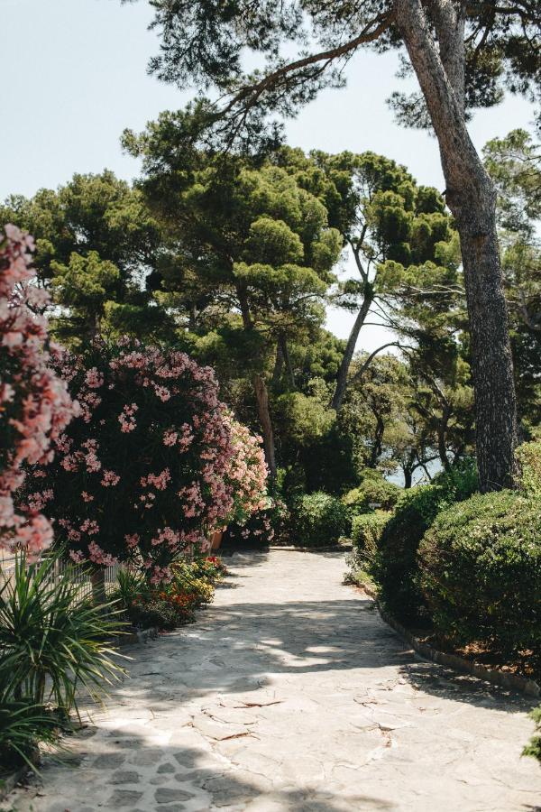 Hotel Provencal Hyères Dış mekan fotoğraf